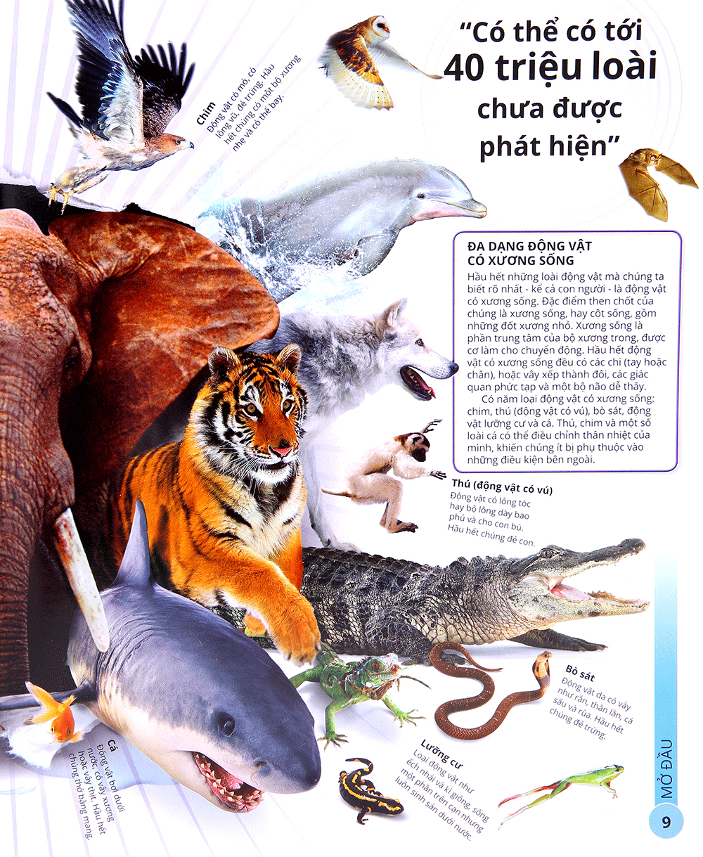 các siêu sao trong giới động vật