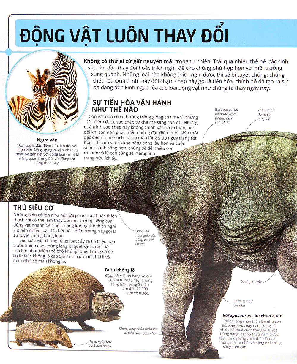 các siêu sao trong giới động vật