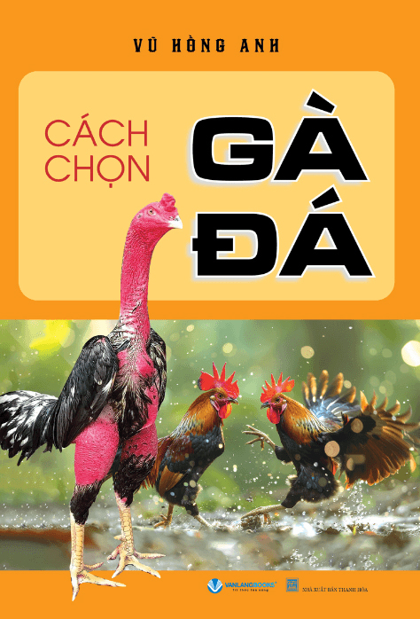 Cach Chon Ga Da (Tai Ban 2025)