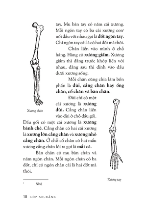 cách trí giáo khoa thư