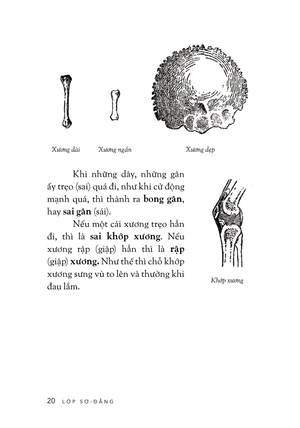 cách trí giáo khoa thư