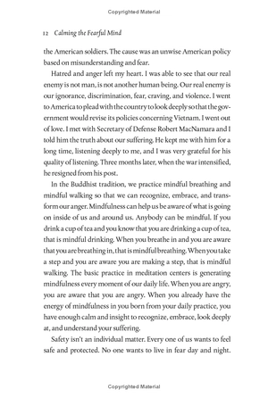 calming the fearful mind: a zen response to terrorism