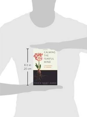 calming the fearful mind: a zen response to terrorism