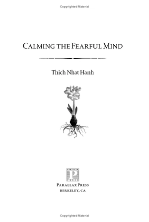 calming the fearful mind: a zen response to terrorism