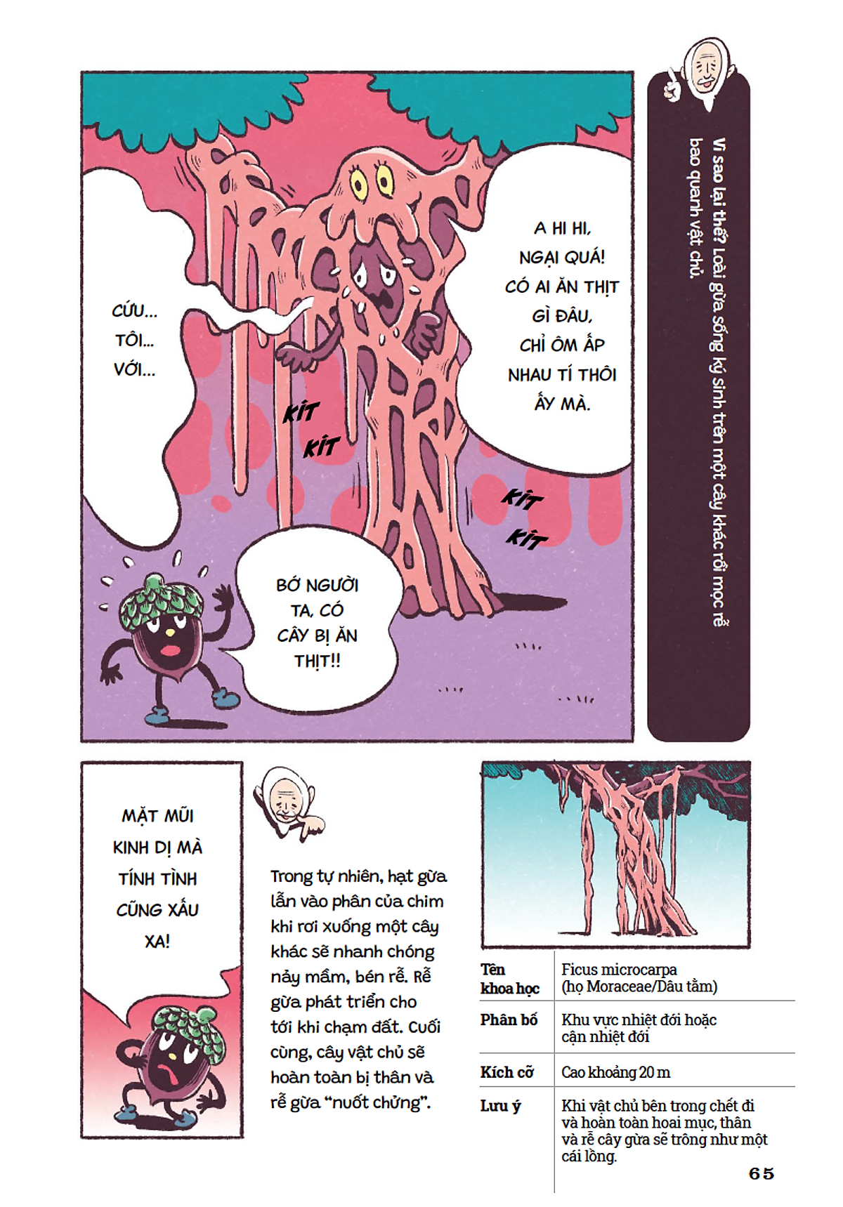 cẩm nang cỏ cây kỳ quái