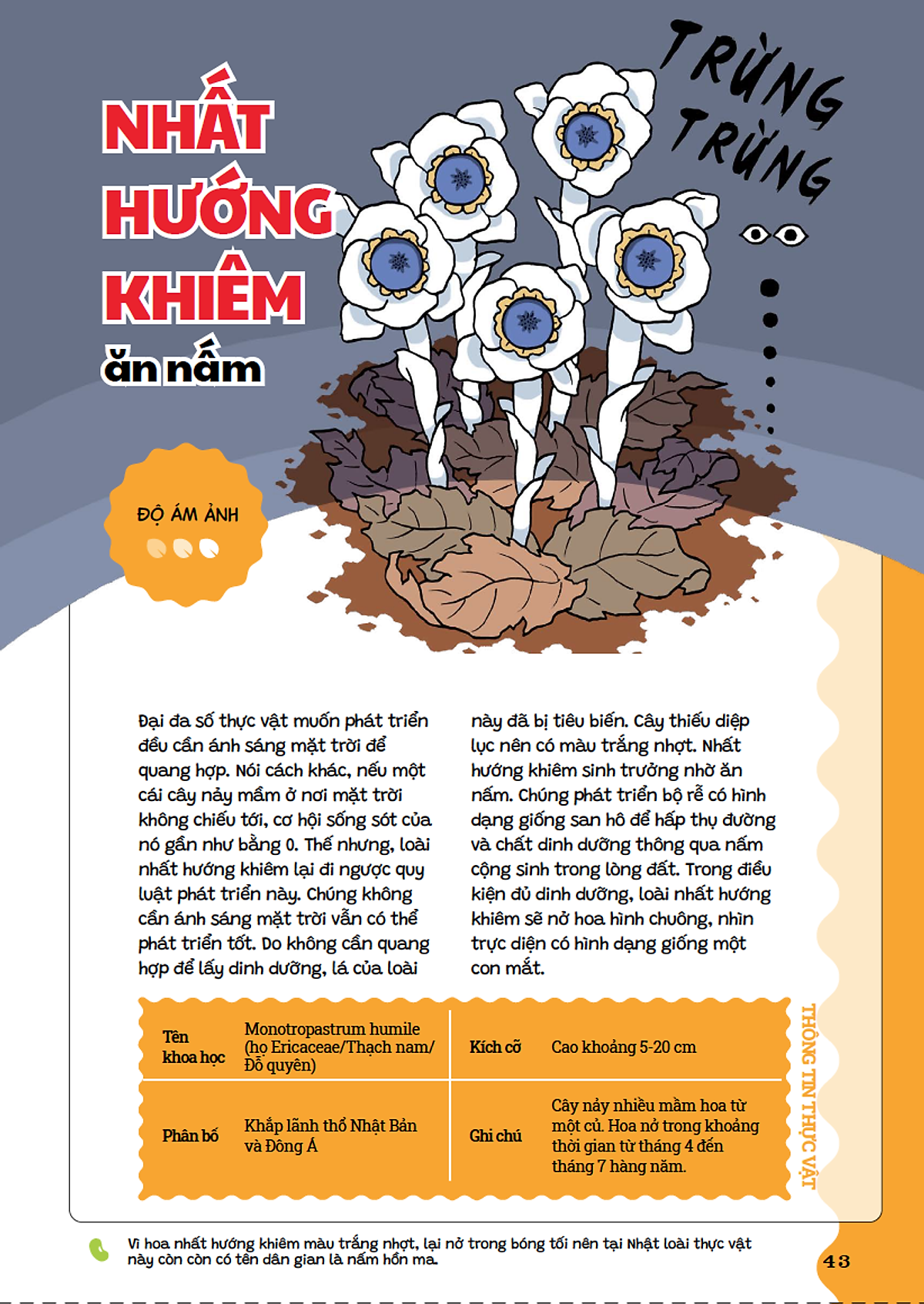 cẩm nang cỏ cây kỳ quái