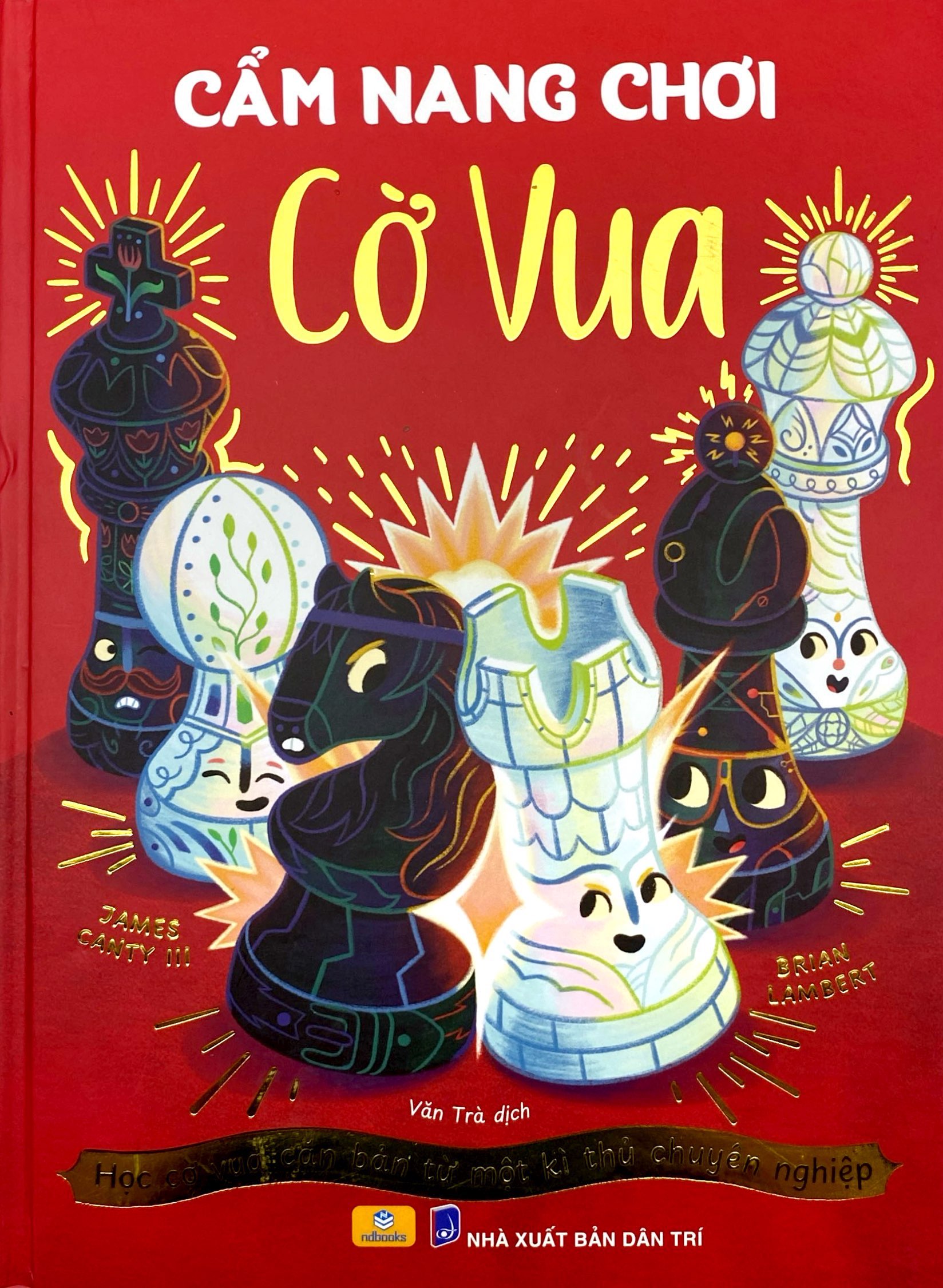 Cam Nang Co Vua - Hoc Co Vua Can Ban Tu Mot Ki Thu Chuyen Nghiep - Bia Cung