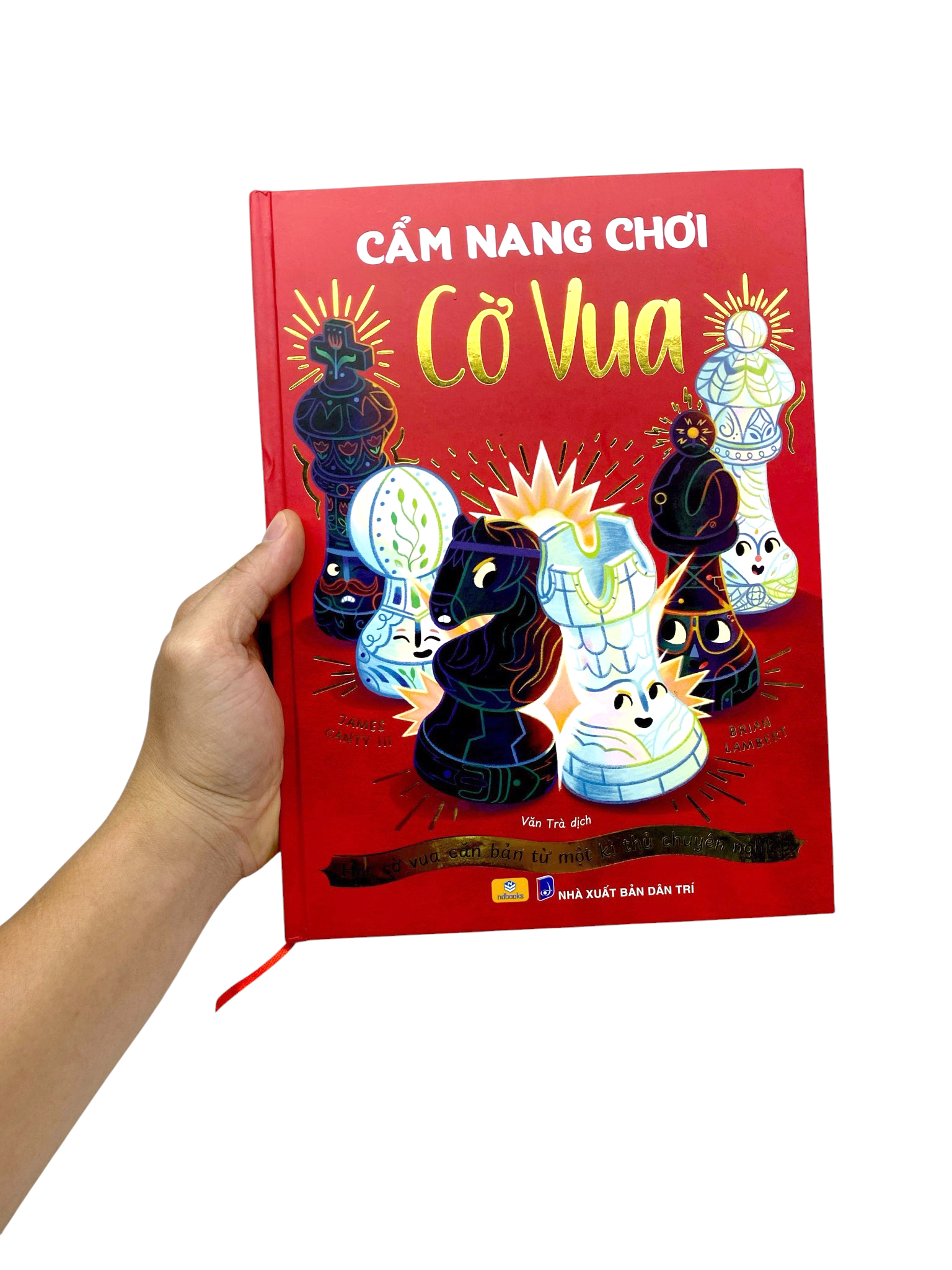 Cam Nang Co Vua - Hoc Co Vua Can Ban Tu Mot Ki Thu Chuyen Nghiep - Bia Cung
