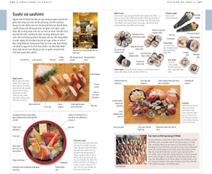 cẩm nang du lịch nhật bản