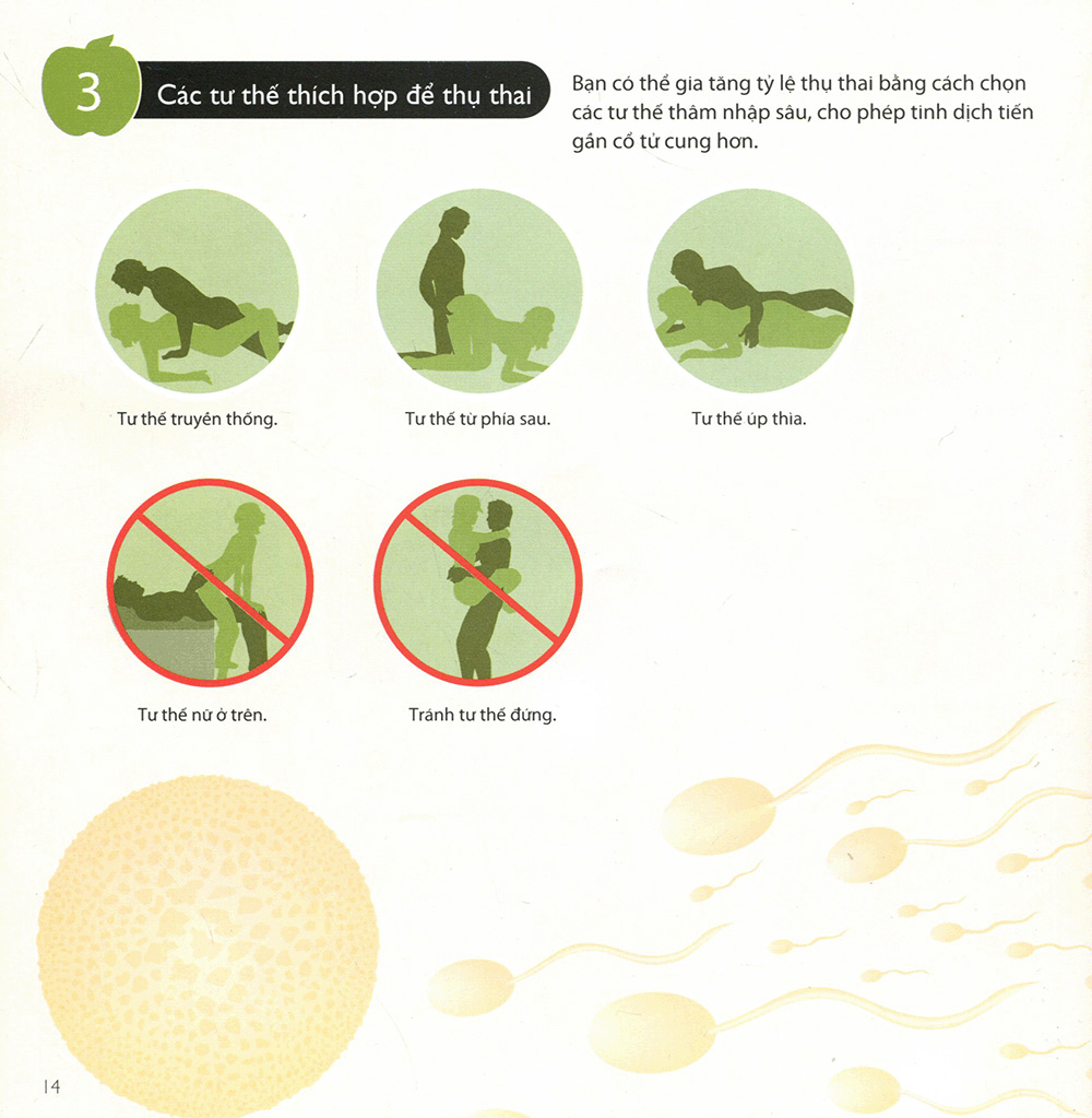 cẩm nang làm bố tuyệt vời