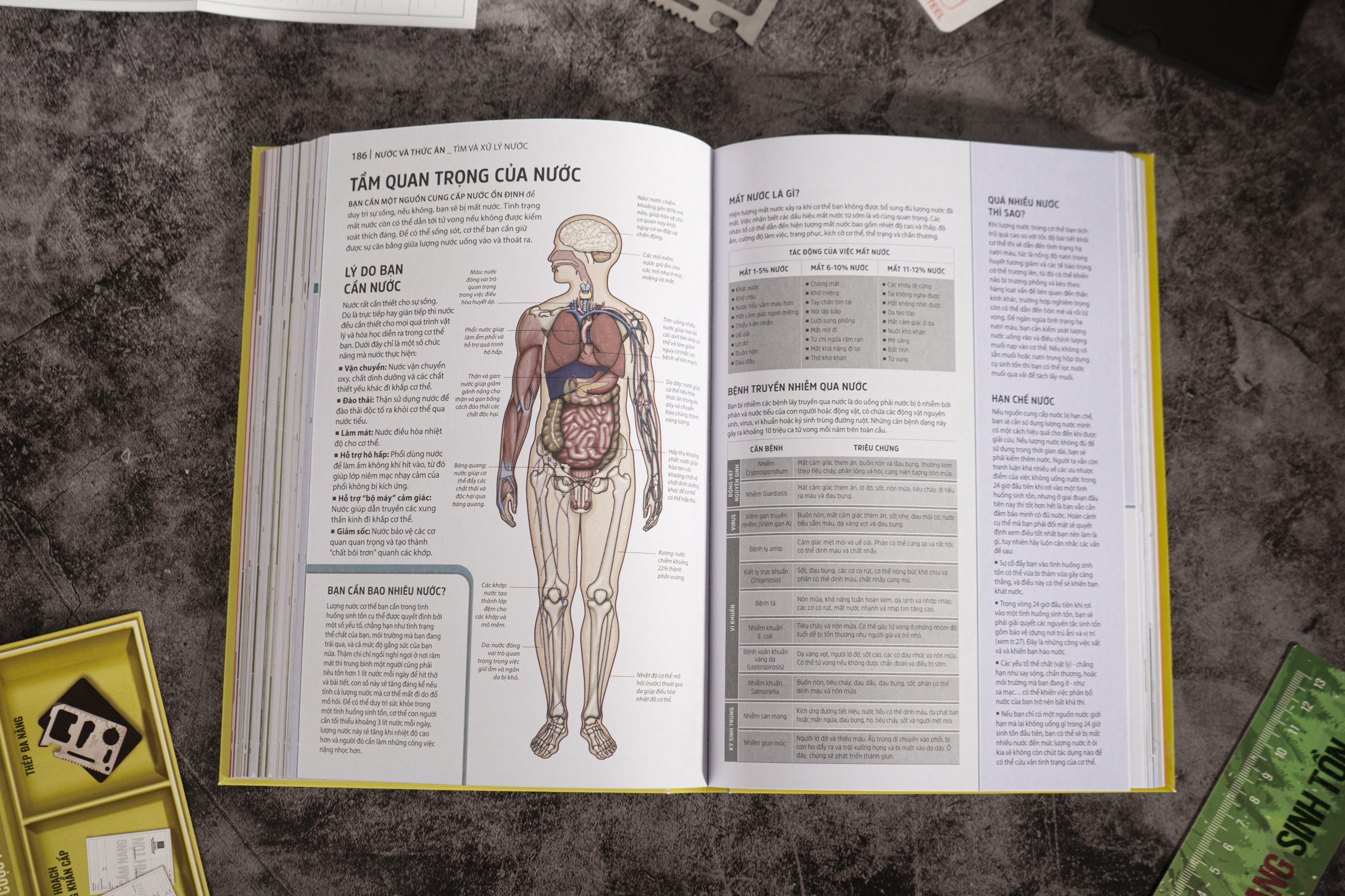 Cam Nang Sinh Ton - Hon 100 Ky Nang Song Con Cho Cac Cuoc Phieu Luu Noi Hoang Da - Bia Cung - Tang Kem Bookmark + Thep Da Nang + Bang Ke Hoach Hanh Dong Khan Cap