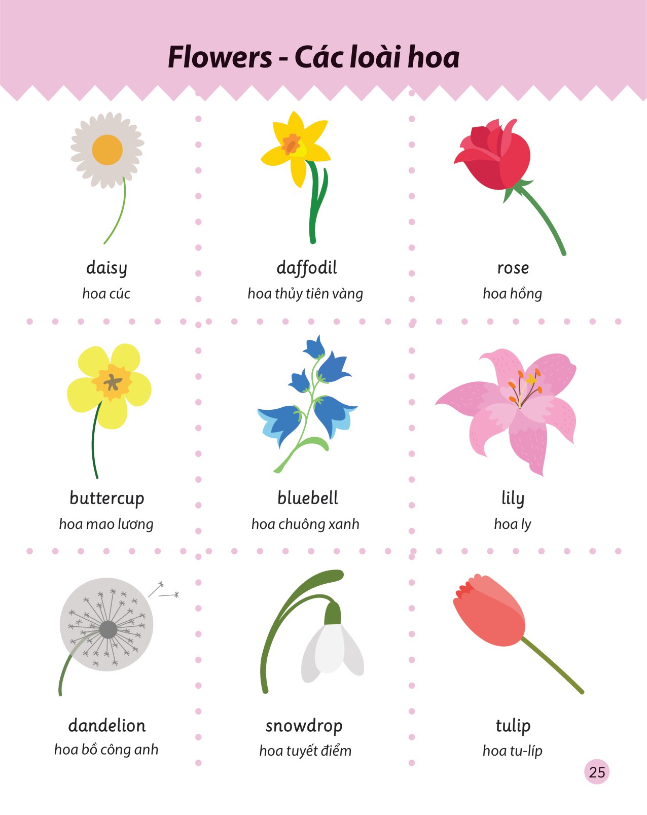 cẩm nang từ vựng tiếng anh cho trẻ em