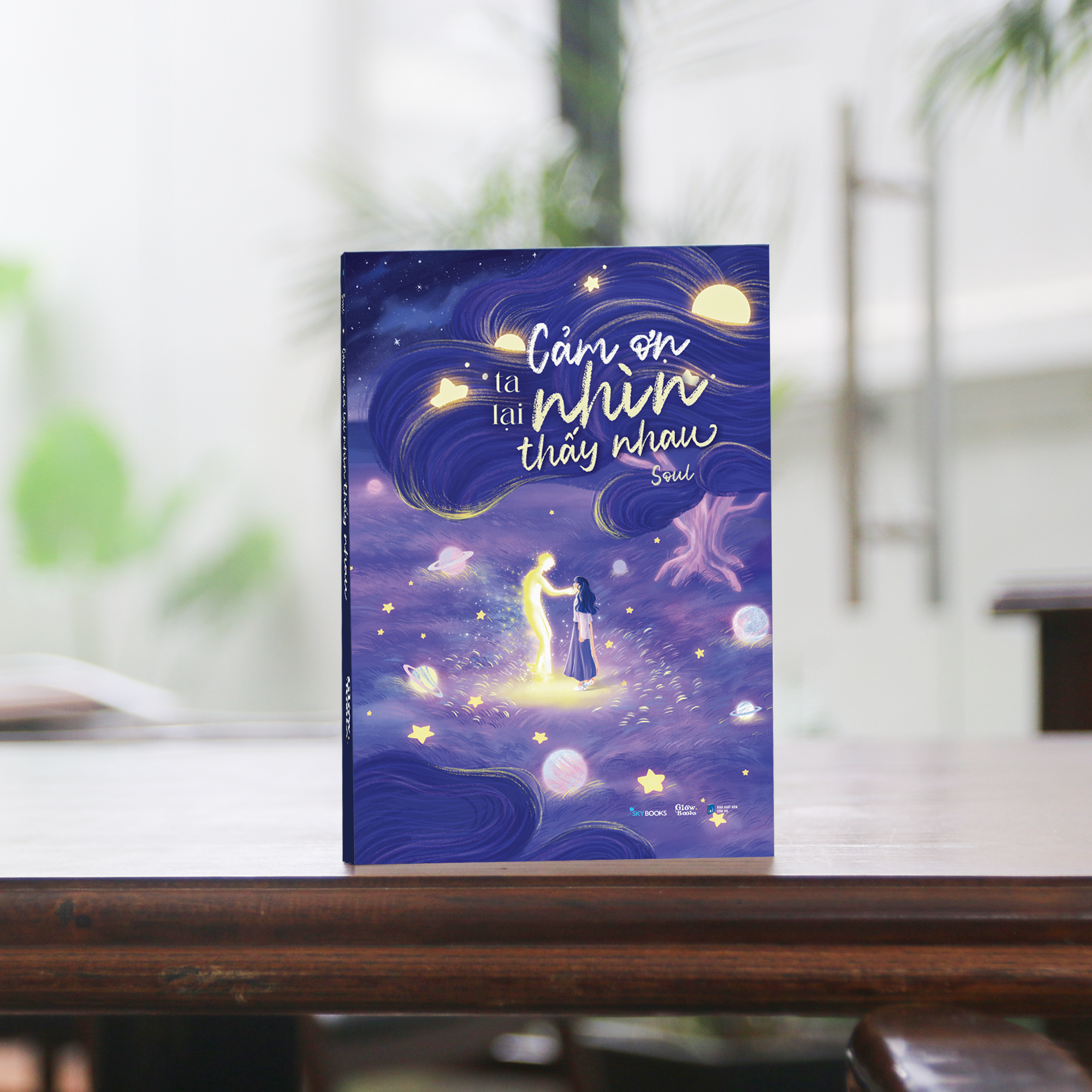 cảm ơn ta lại nhìn thấy nhau