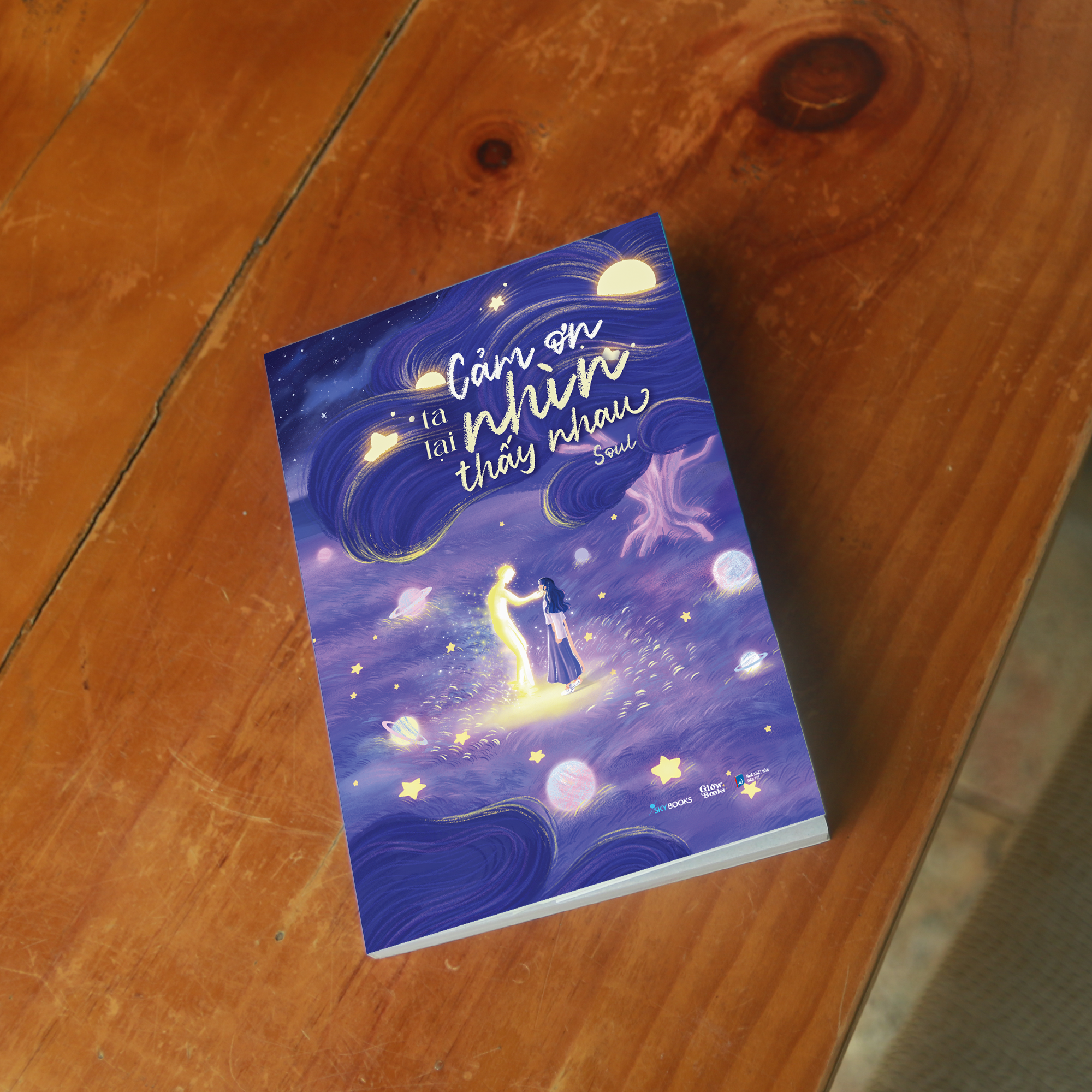 cảm ơn ta lại nhìn thấy nhau