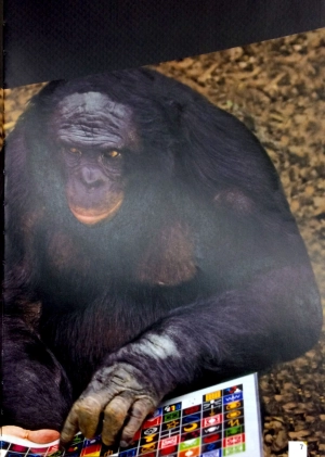 cambridge english empower advanced student's book