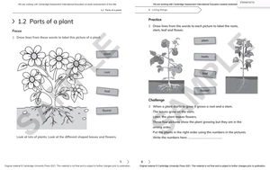 cambridge primary science workbook 1 with digital access (1 year) 2nd edition