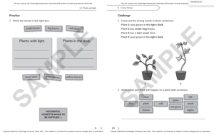 cambridge primary science workbook 1 with digital access (1 year) 2nd edition