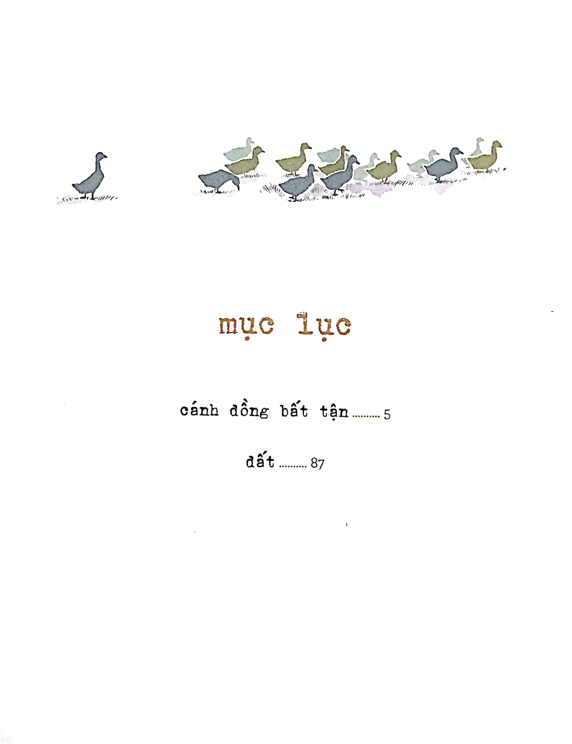 cánh đồng bất tận - phiên bản đặc biệt