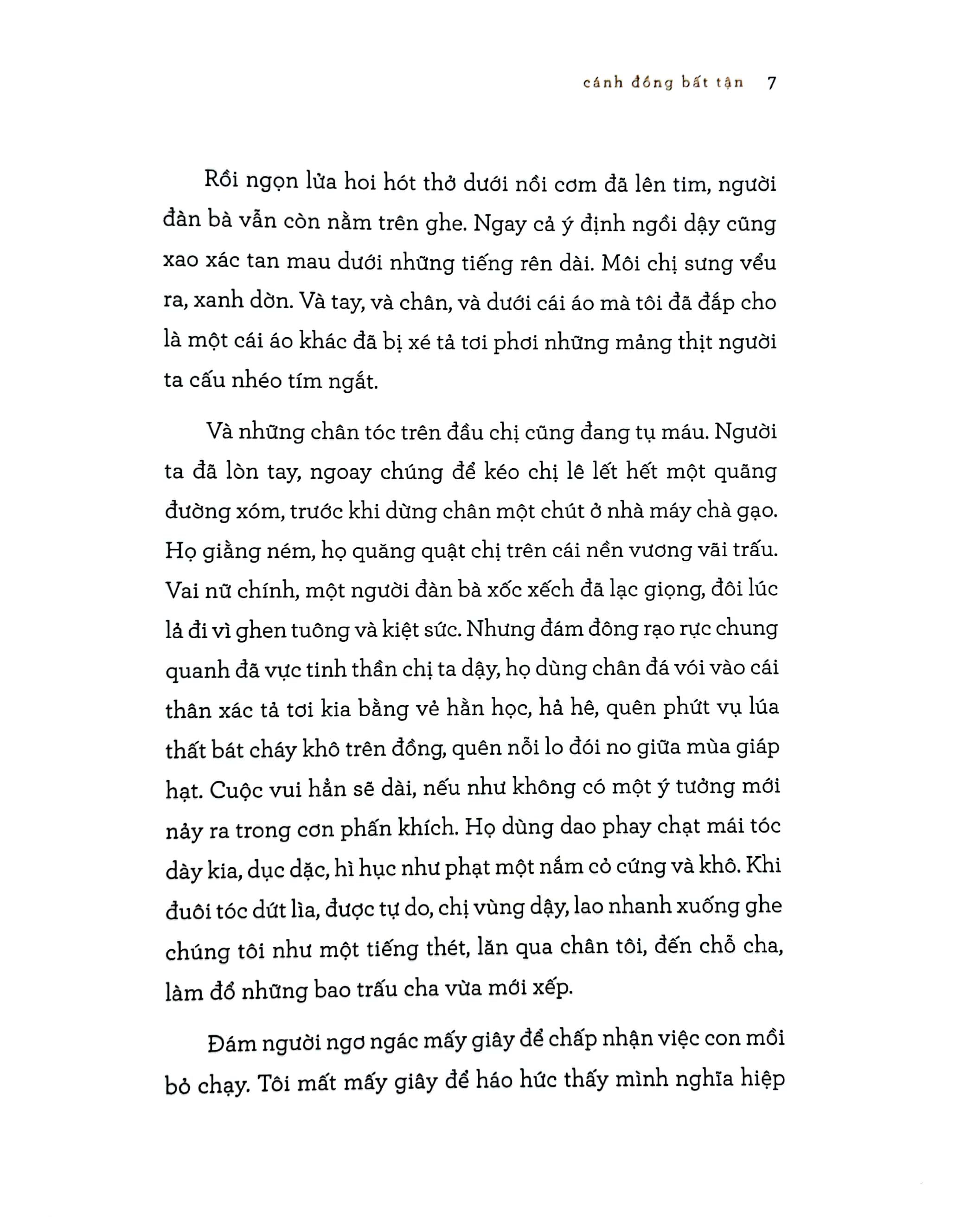 cánh đồng bất tận - phiên bản đặc biệt