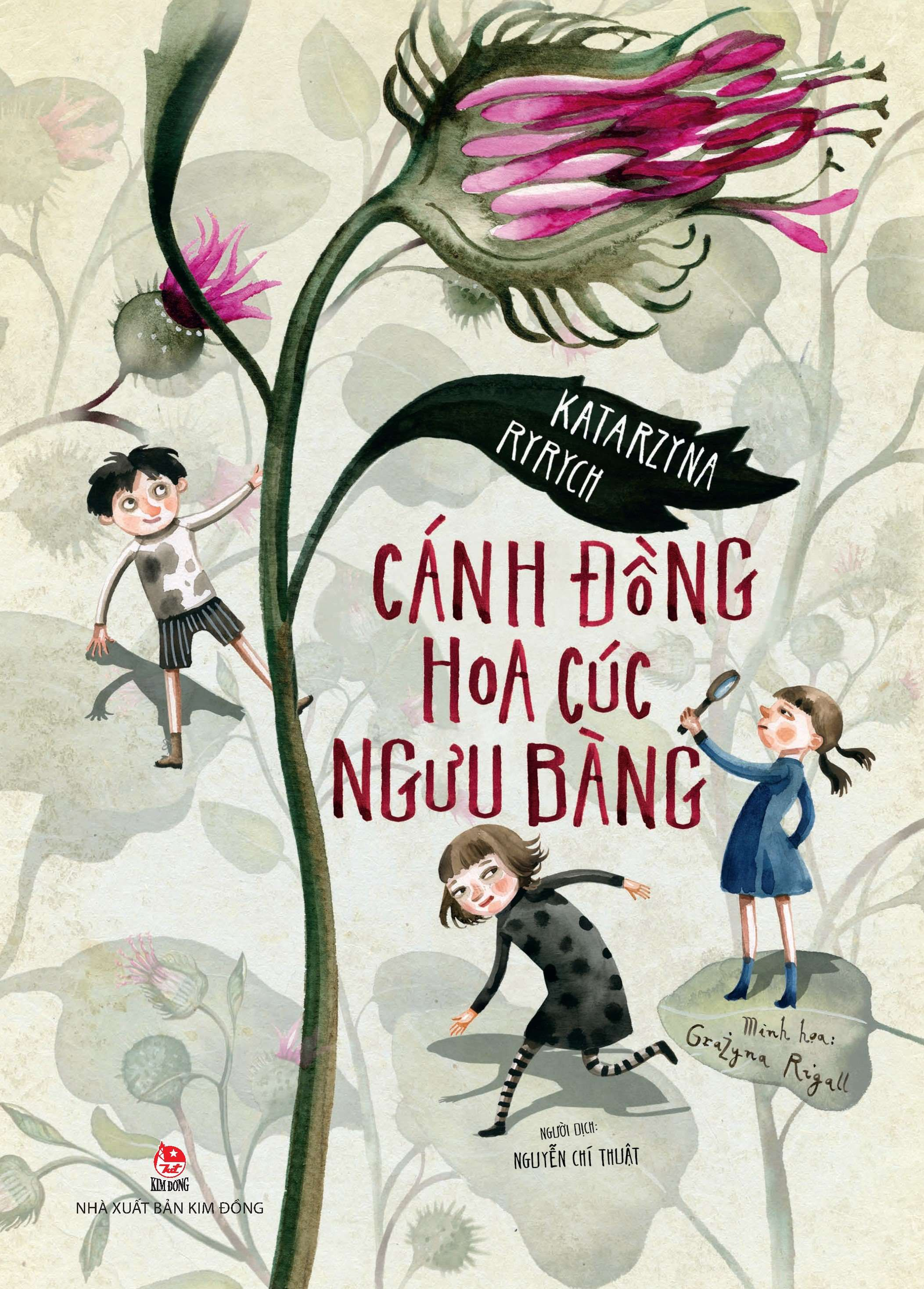 cánh đồng hoa cúc ngưu bàng