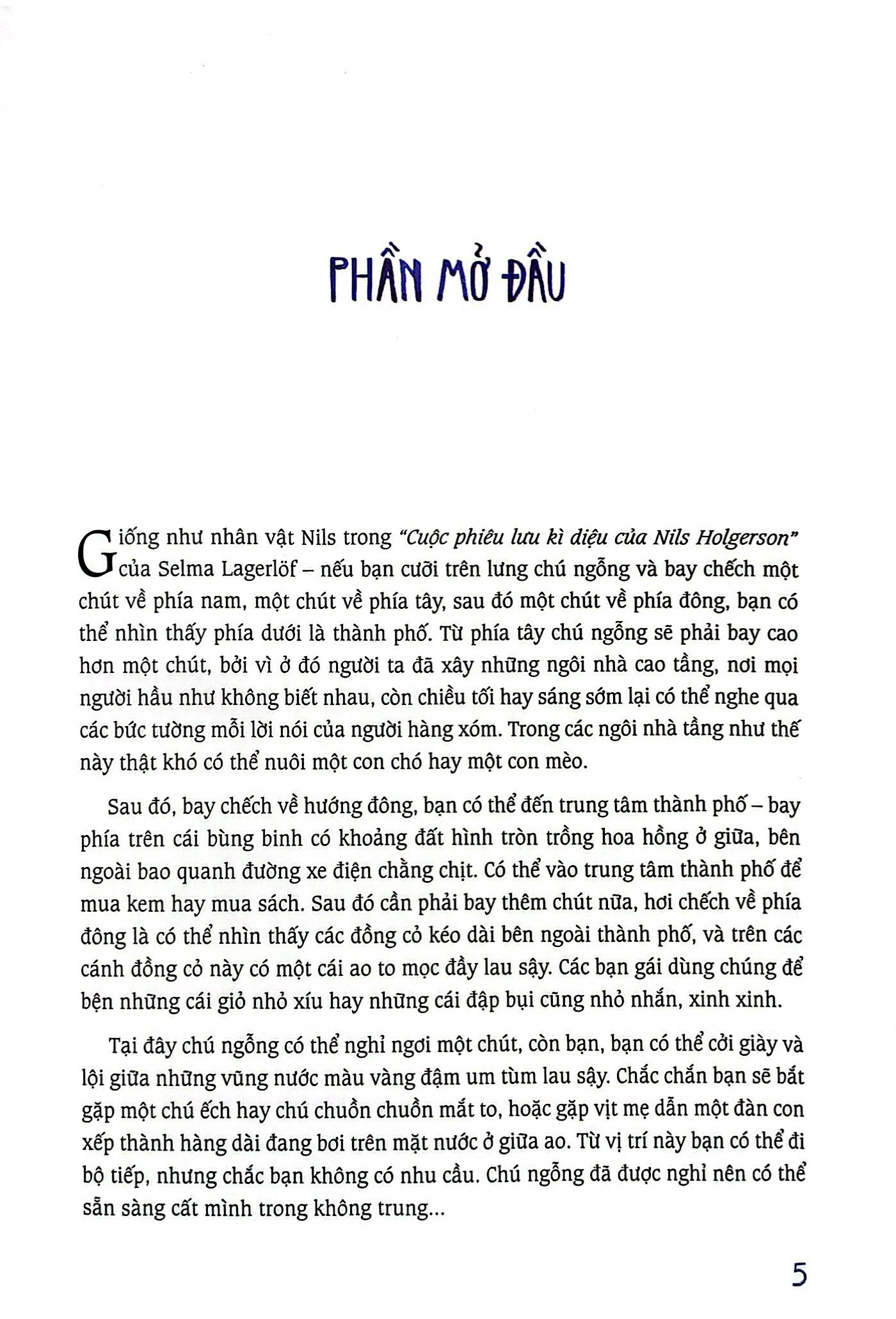 cánh đồng hoa cúc ngưu bàng