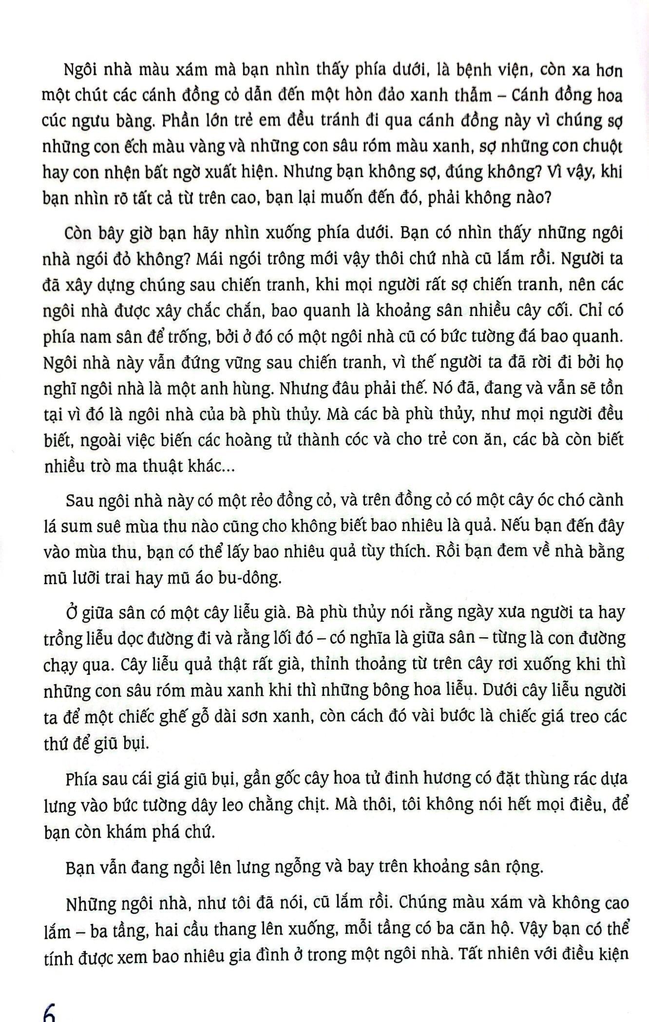 cánh đồng hoa cúc ngưu bàng