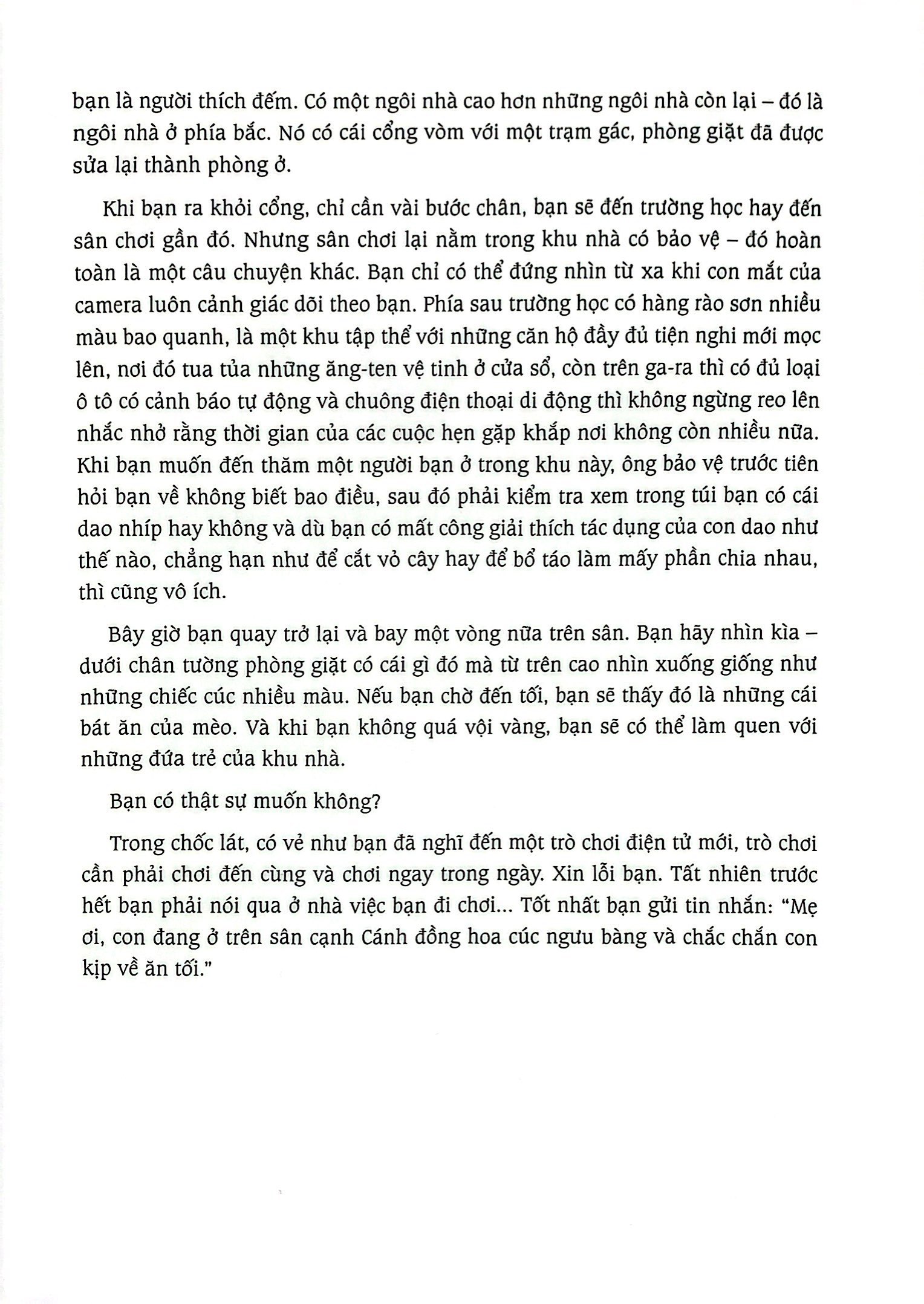 cánh đồng hoa cúc ngưu bàng