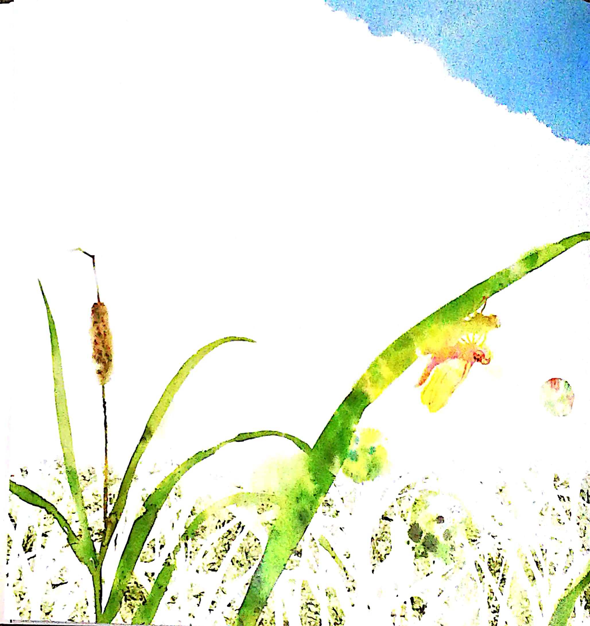 cánh thư gửi mẹ