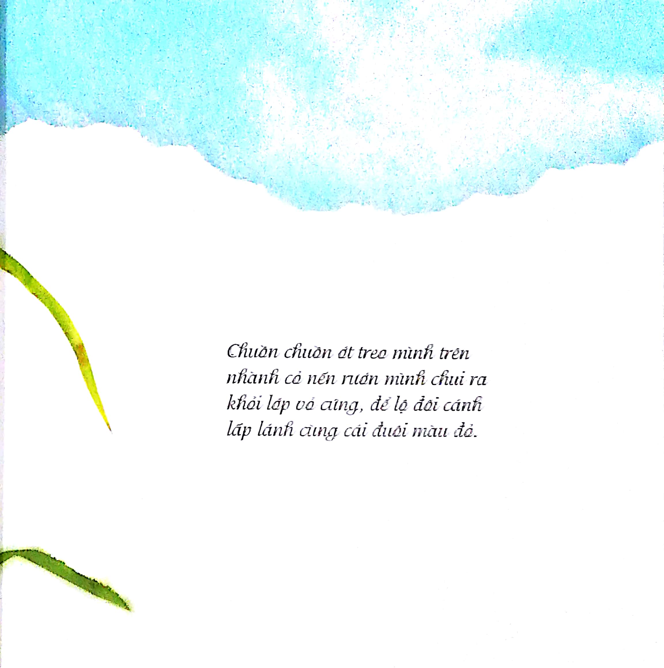 cánh thư gửi mẹ