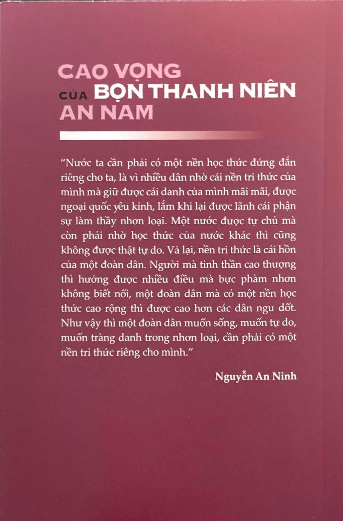 cao vọng của bọn thanh niên an nam