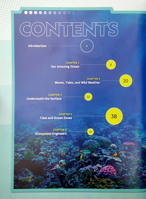 captain aquatica's awesome ocean