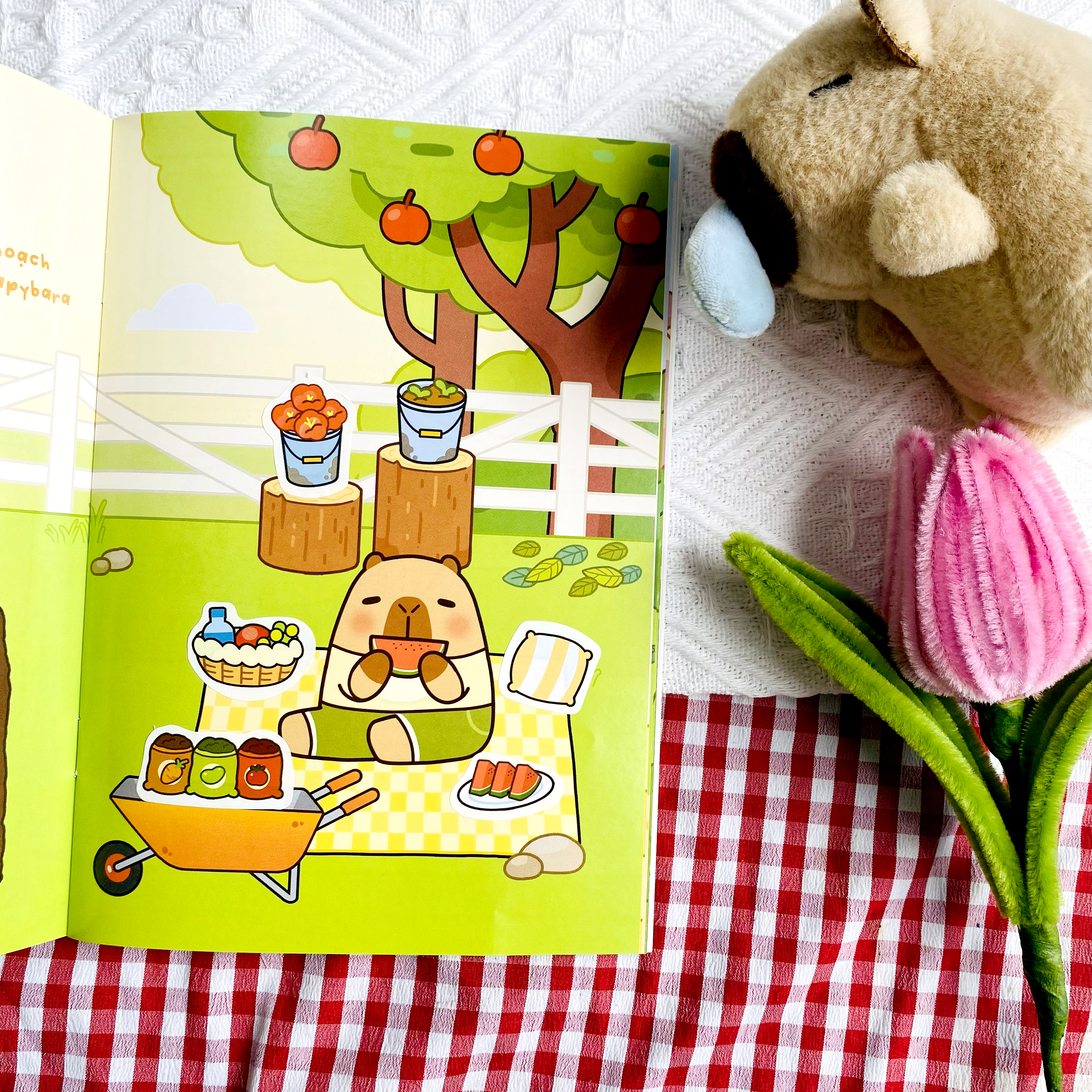 Capybara o nong trai Hon Ho