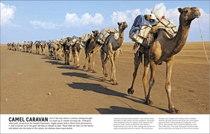 cars, trains, ships, and planes: a visual encyclopedia of every vehicle (dk our world in pictures)