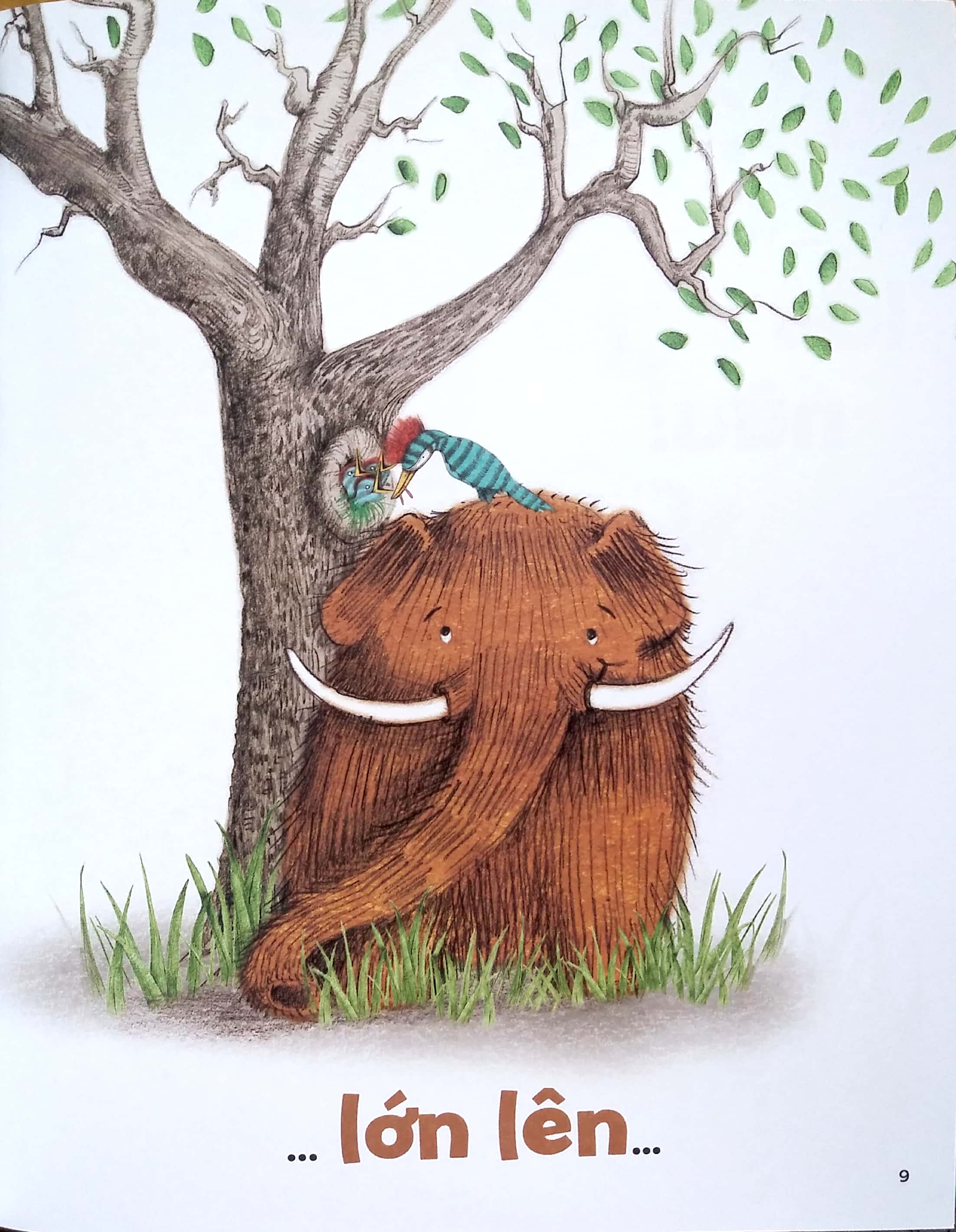 cậu bé oọc - nhóc trùm hang