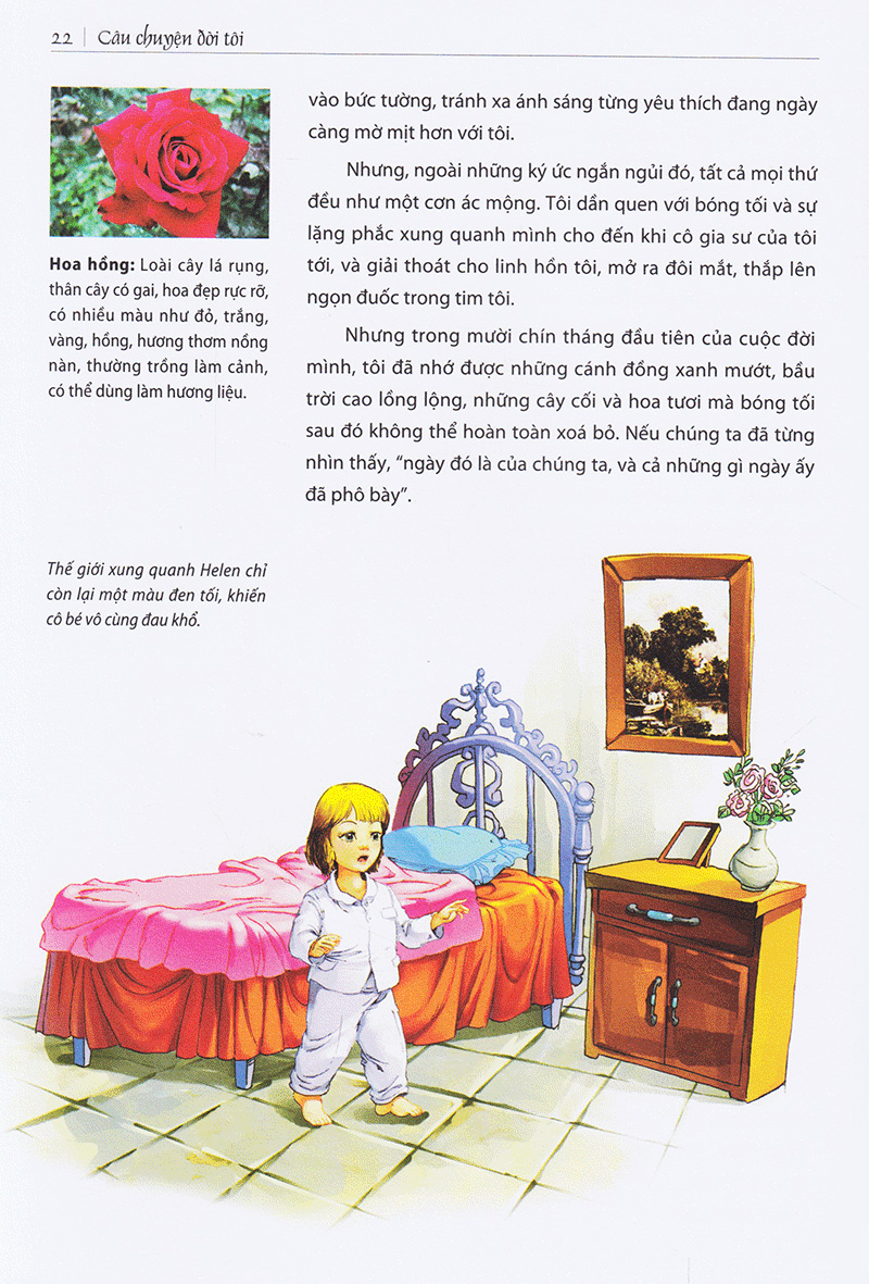 Câu Chuyện Đời Tôi (Tái Bản 2020)