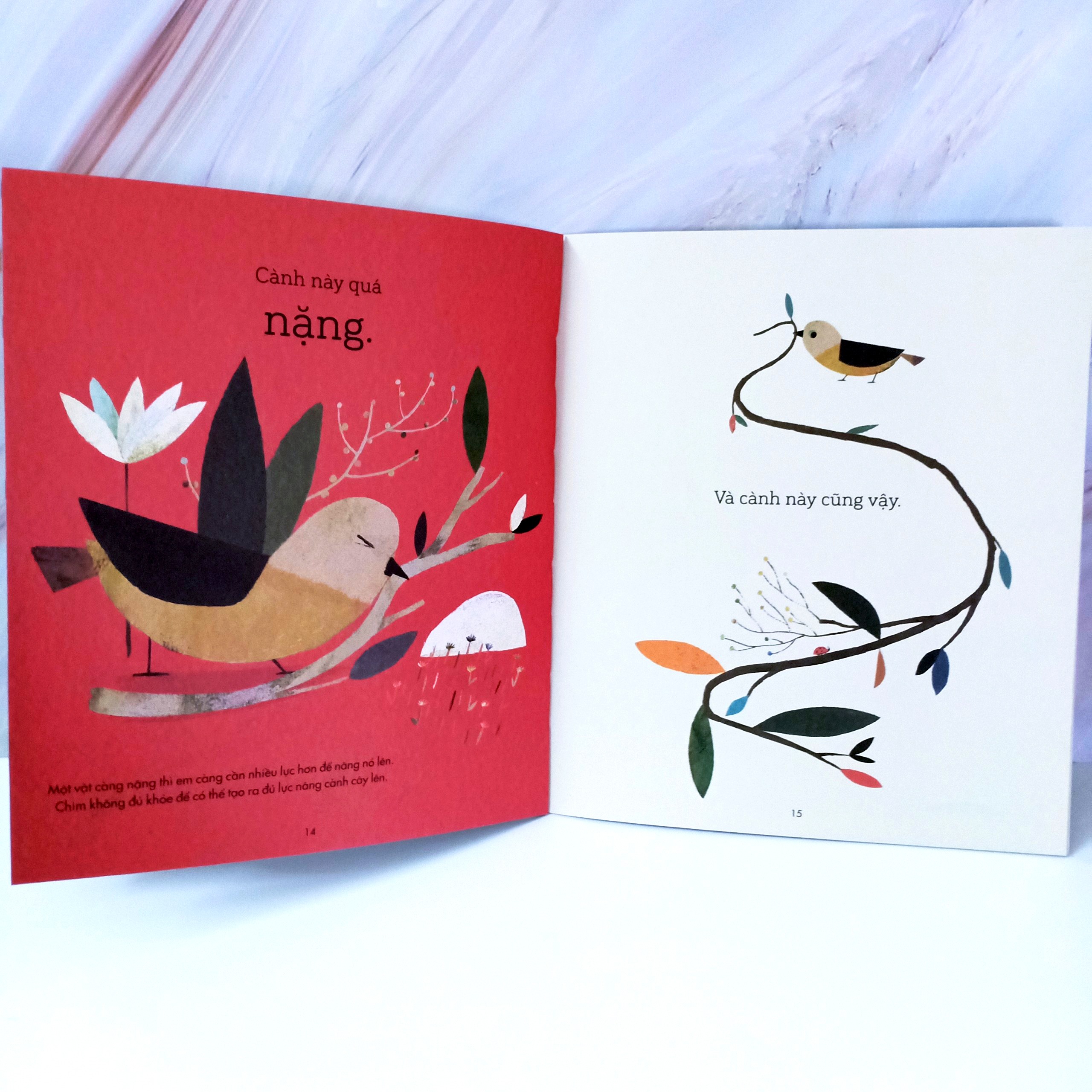 câu chuyện khoa học: chim xây tổ