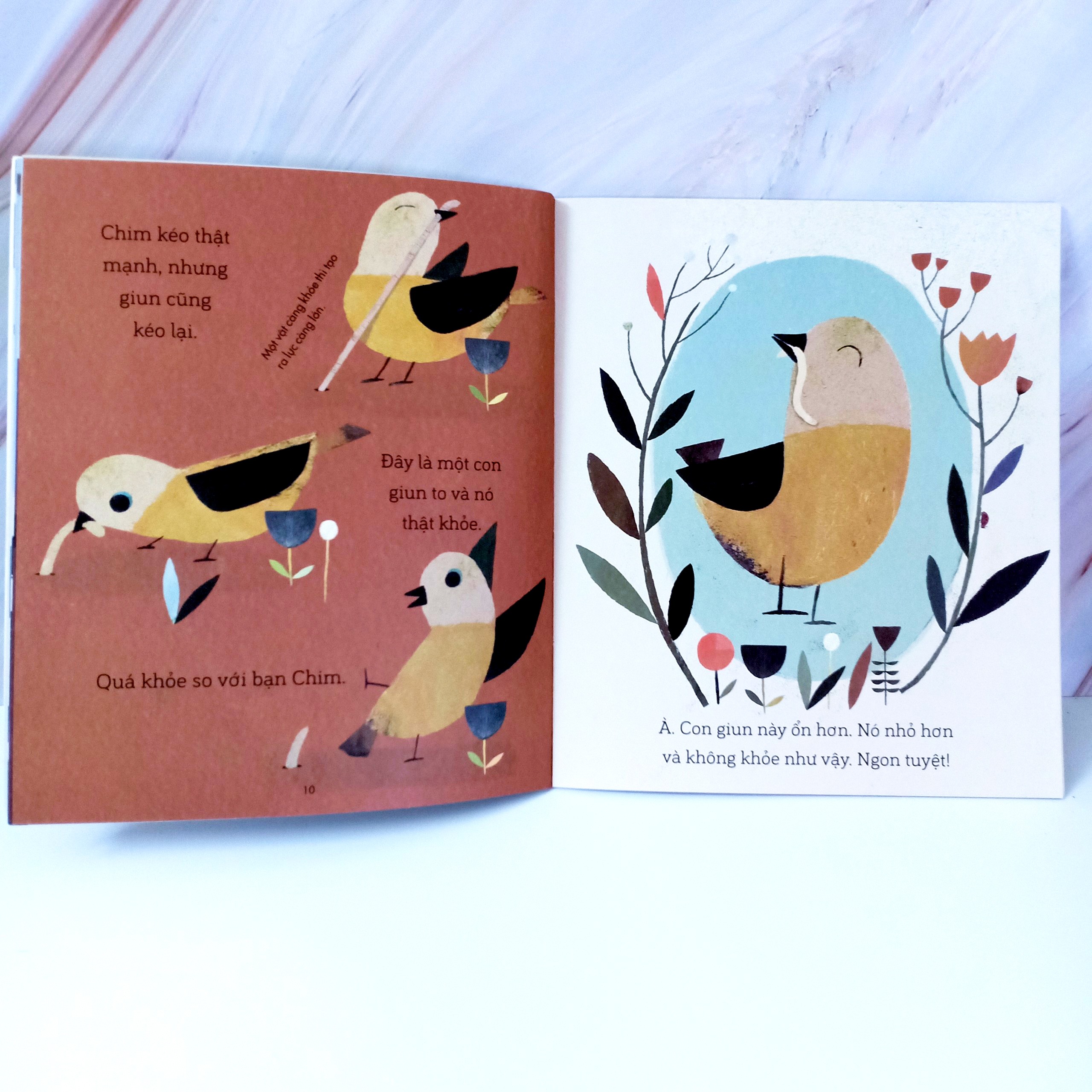 câu chuyện khoa học: chim xây tổ