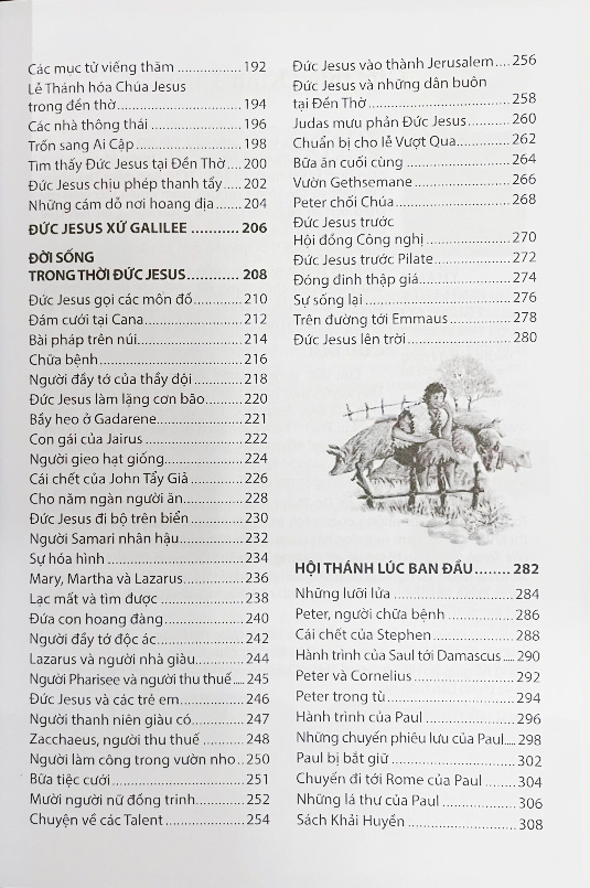 câu chuyện kinh thánh (tái bản 2025)