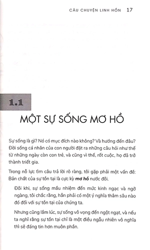 câu chuyện linh hồn - chuyến du ngoạn kỳ bí và mầu nhiệm về mục đích cuộc đời