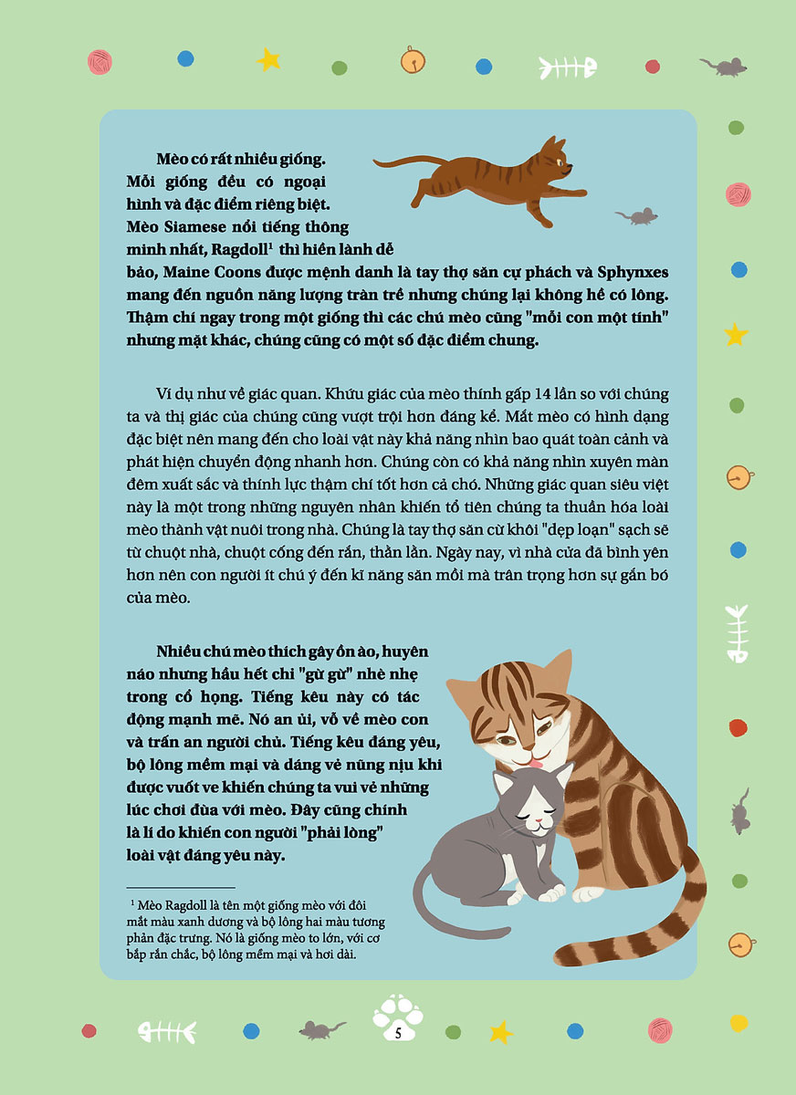 câu chuyện về loài mèo - những câu chuyện có thật về các chú mèo phi thường