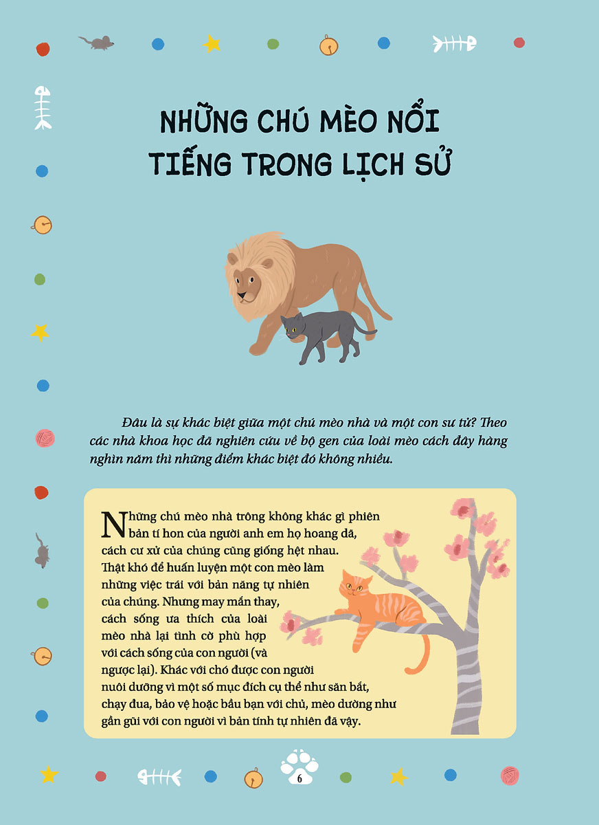 câu chuyện về loài mèo - những câu chuyện có thật về các chú mèo phi thường