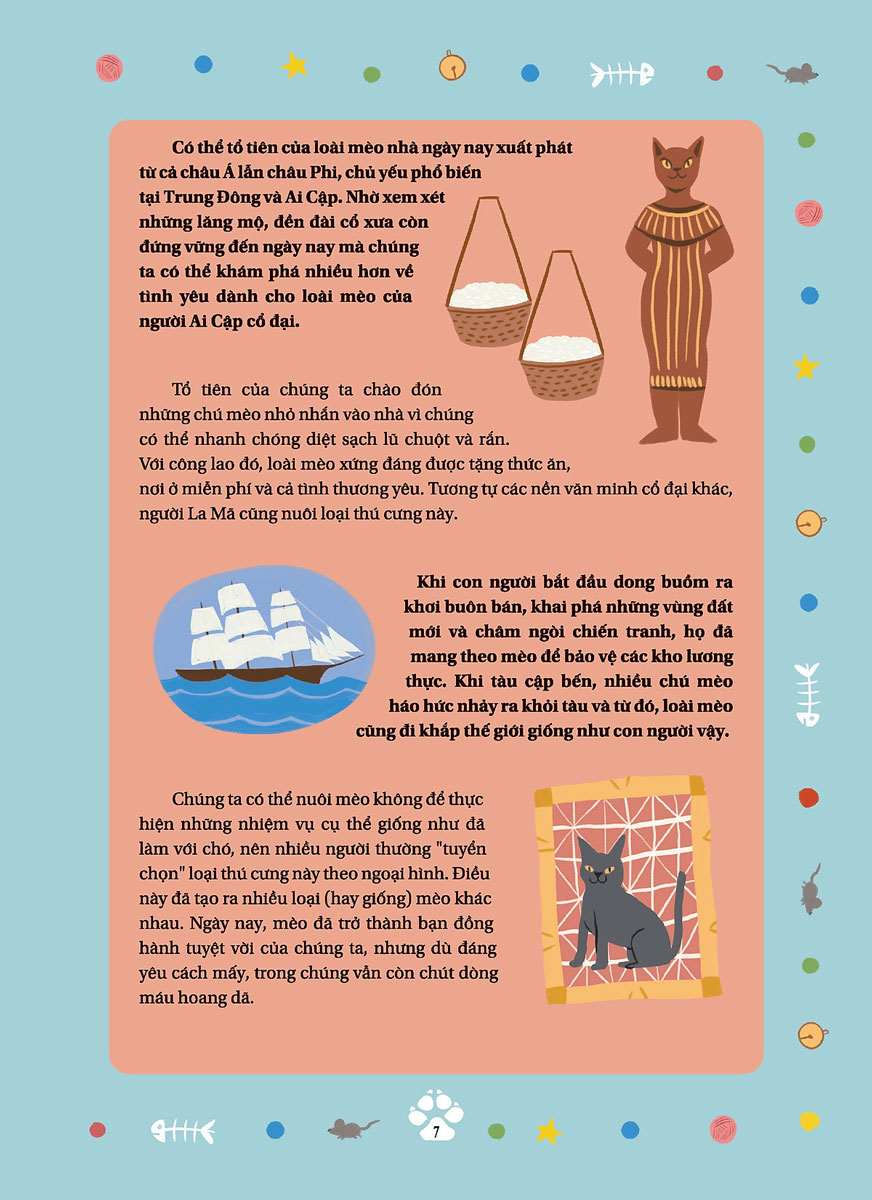 câu chuyện về loài mèo - những câu chuyện có thật về các chú mèo phi thường