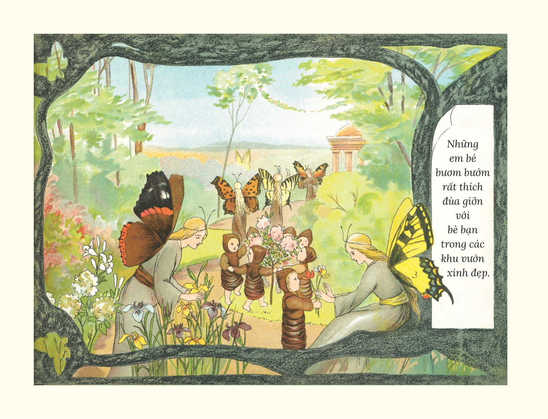 câu chuyện về những em bé bươm bướm