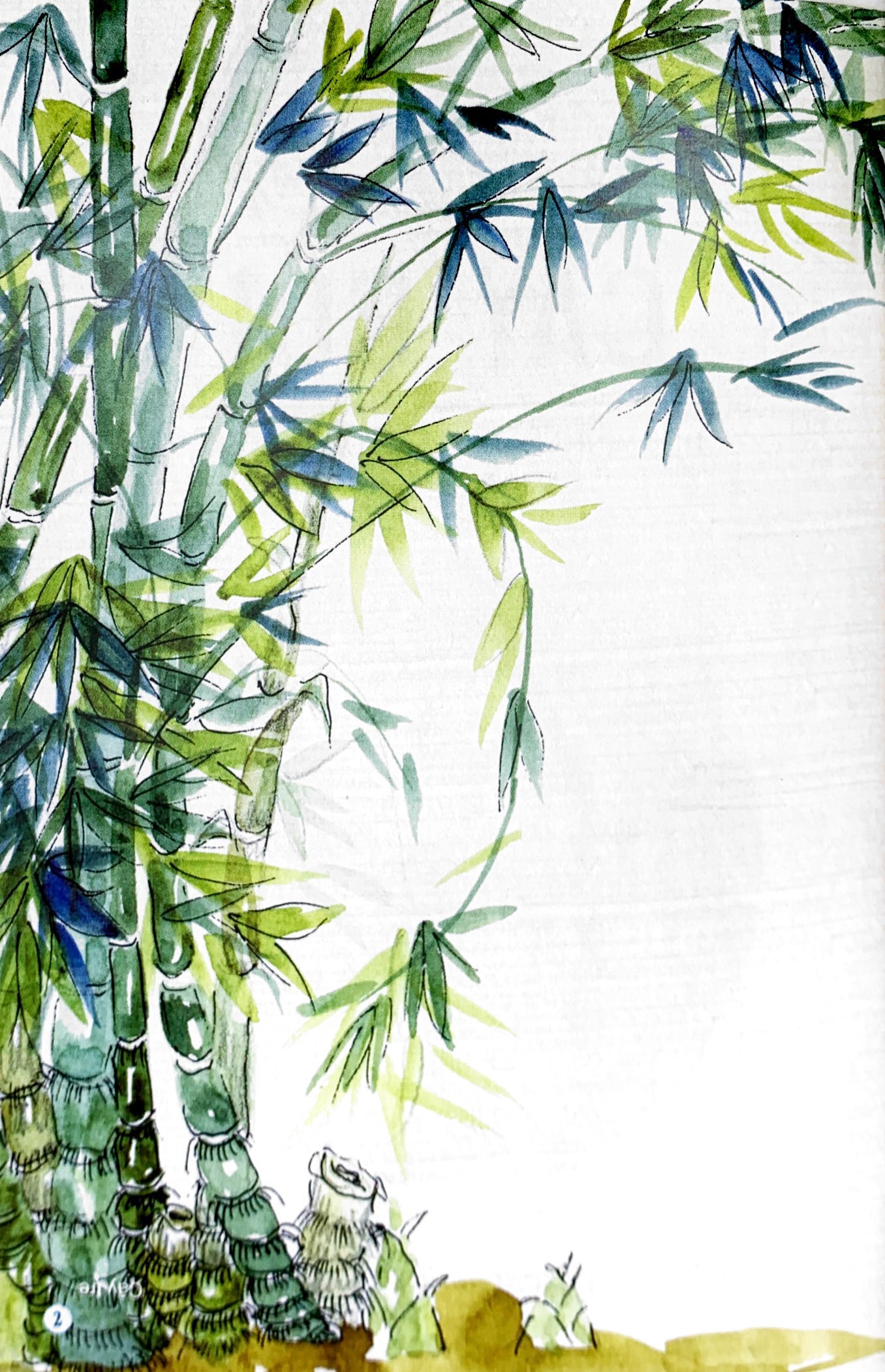 câu đố dân gian bằng tranh - cây cối (tái bản 2019)