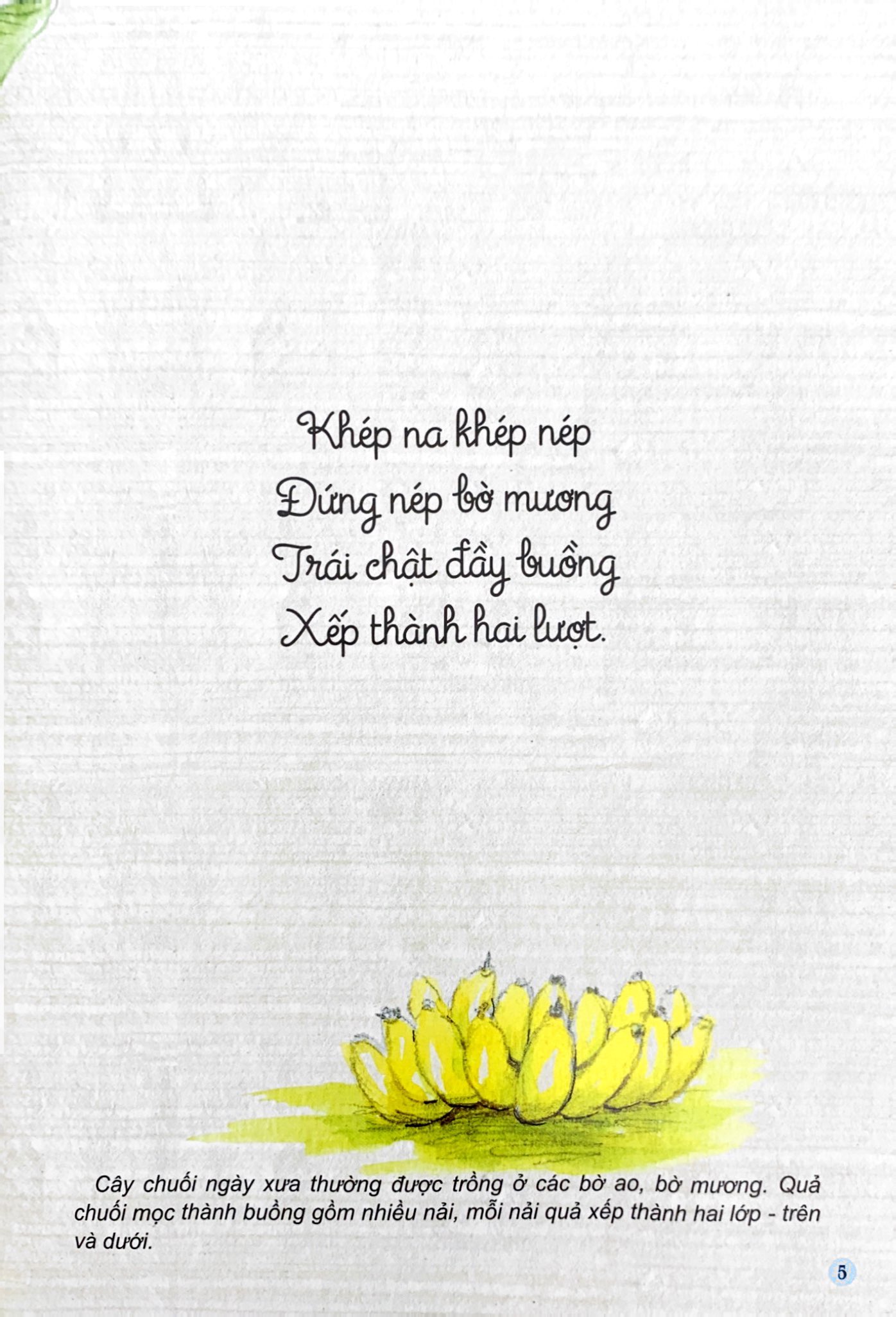 câu đố dân gian bằng tranh - cây cối (tái bản 2019)