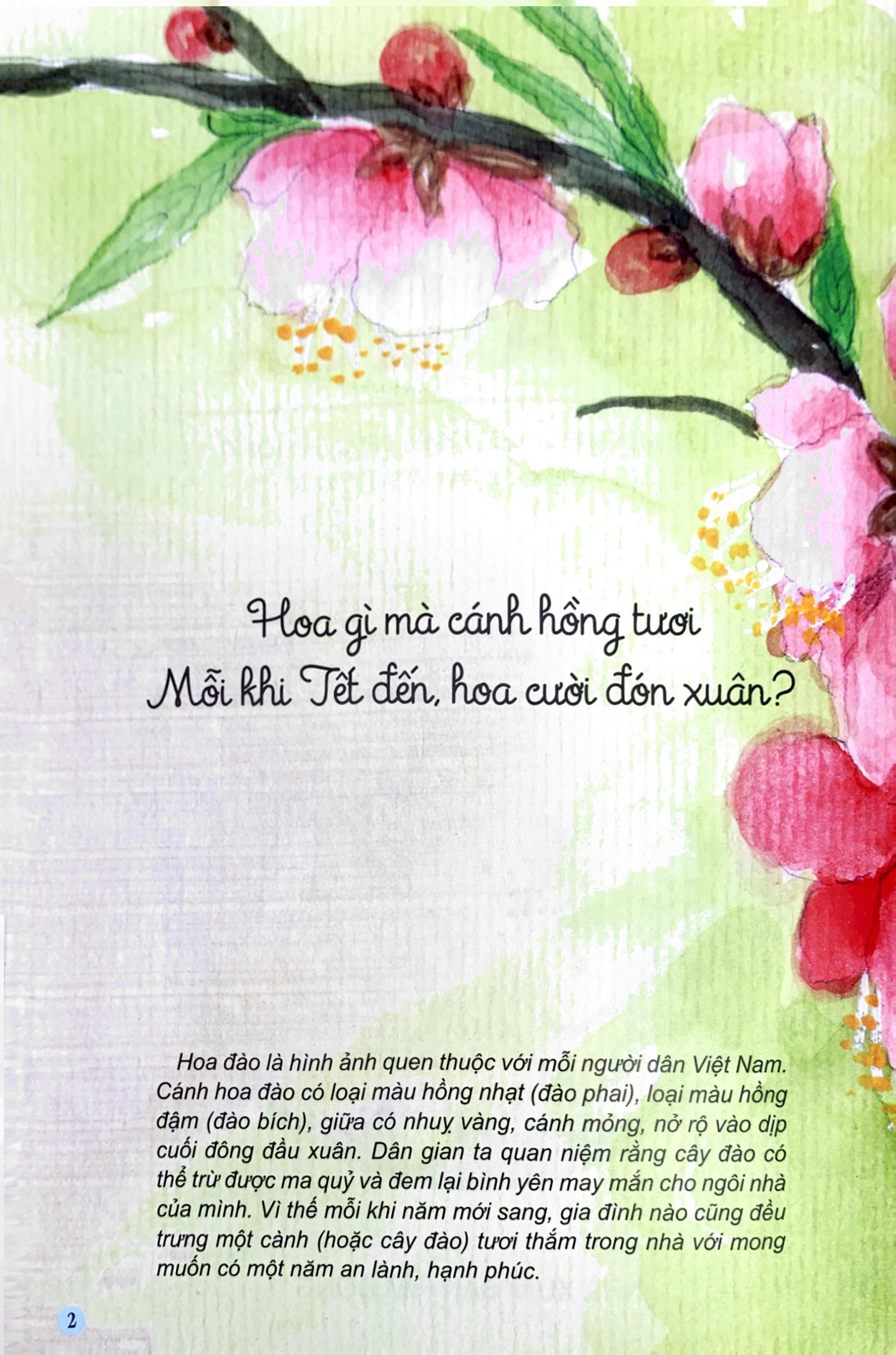 Câu Đố Dân Gian Bằng Tranh - Hoa Quả (Tái Bản 2019)