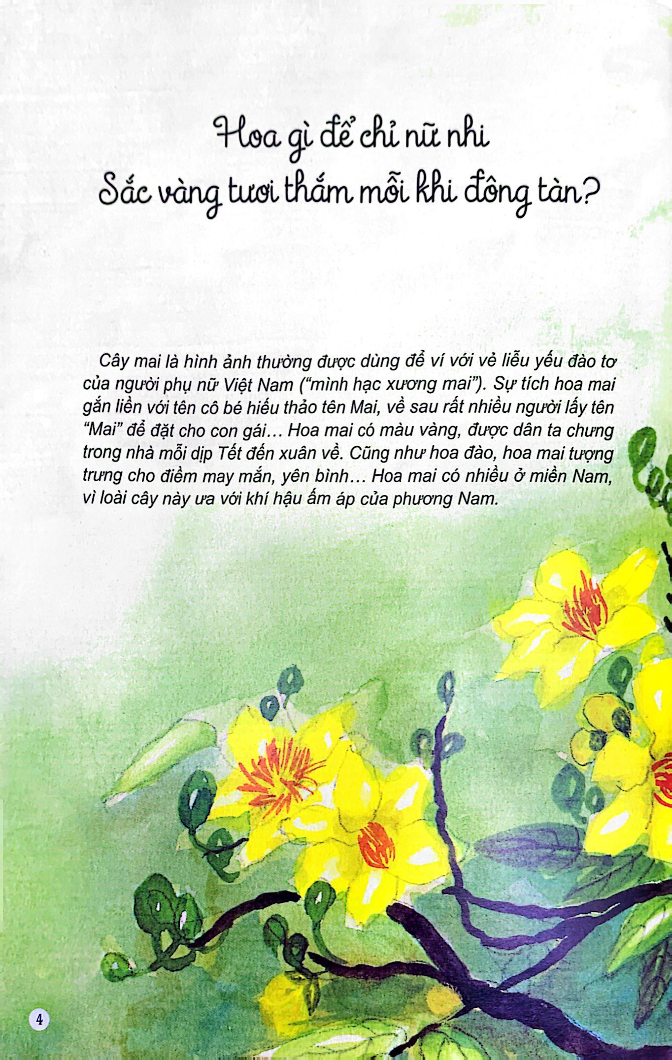 Câu Đố Dân Gian Bằng Tranh - Hoa Quả (Tái Bản 2019)