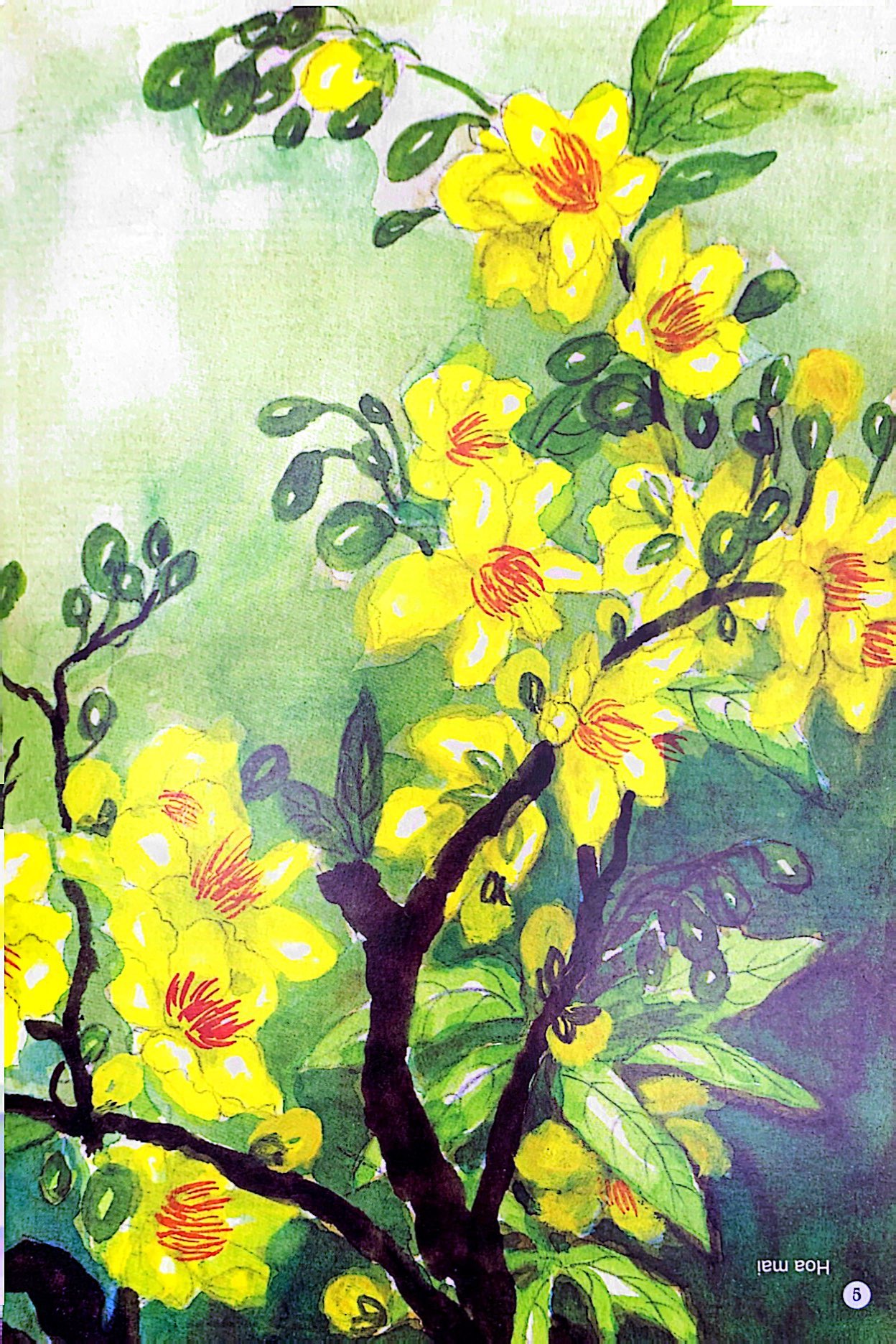 Câu Đố Dân Gian Bằng Tranh - Hoa Quả (Tái Bản 2019)