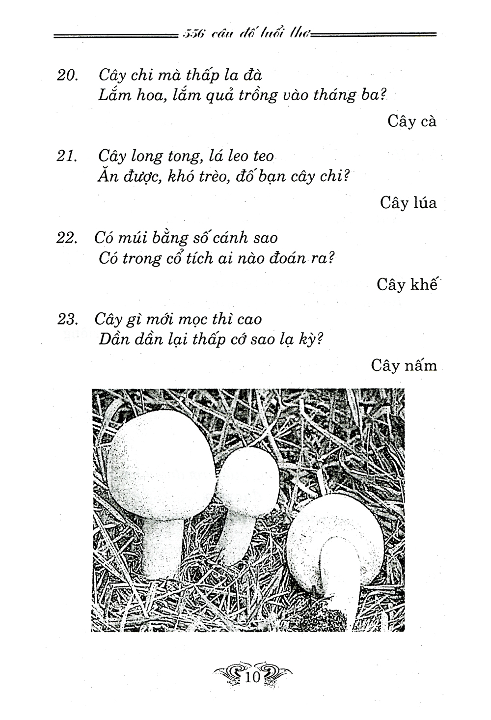 câu đố tuổi thơ