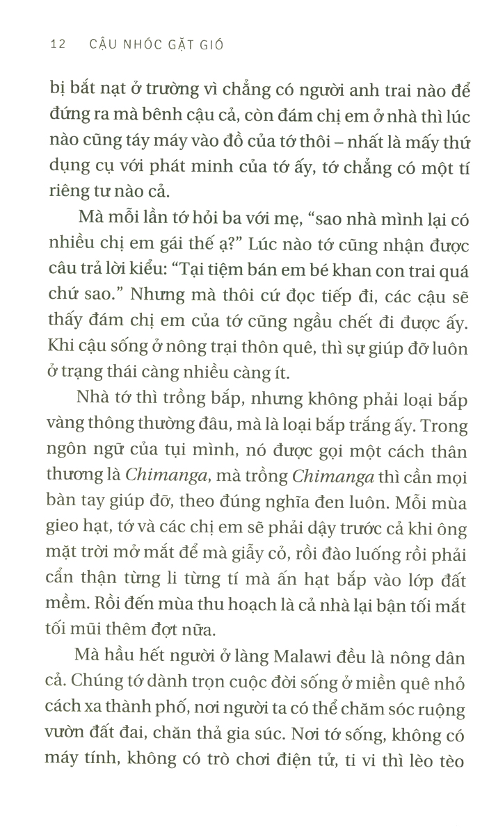 cậu nhóc gặt gió (tái bản 2023)